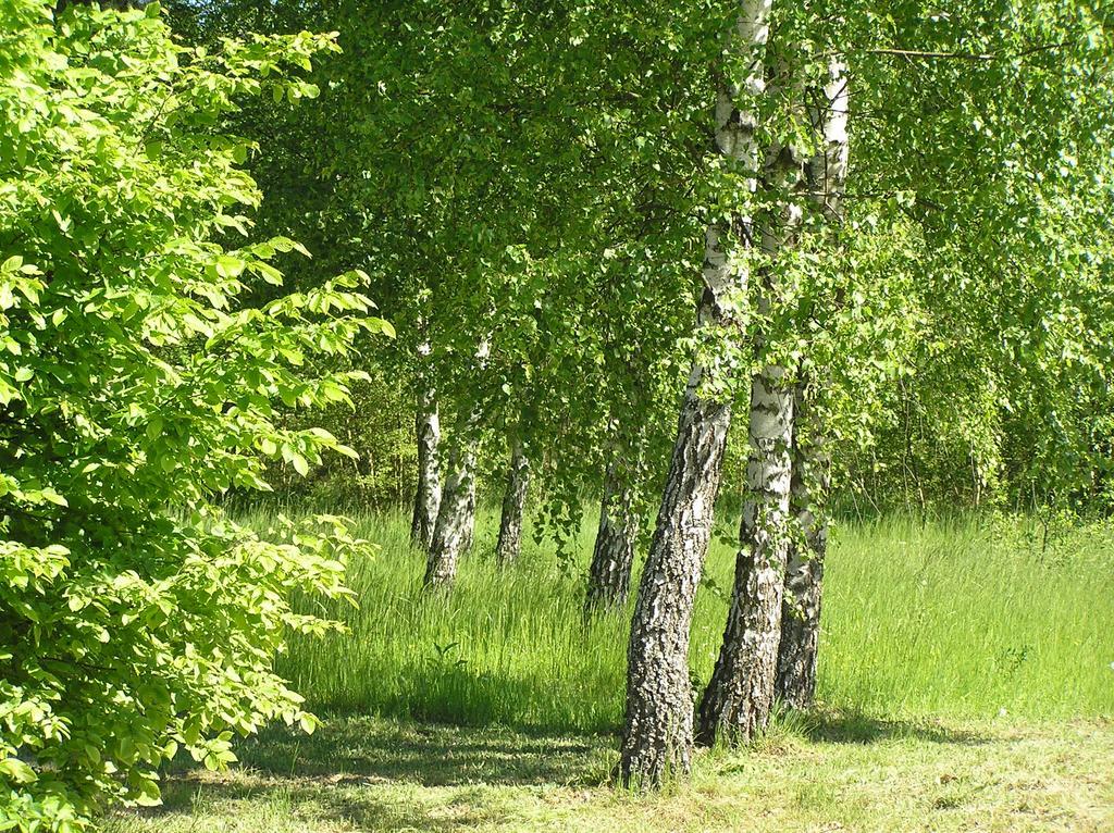 Апартаменты Wymoj Park Ставигуда Экстерьер фото